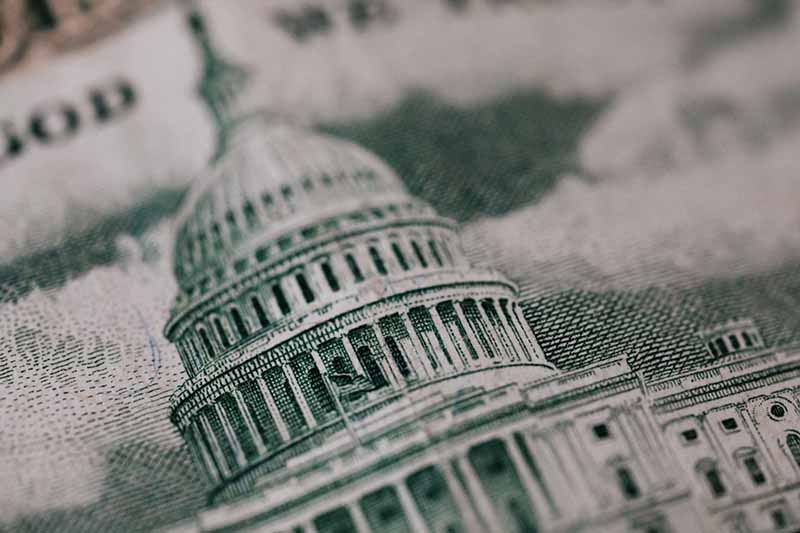 Closeup of the United States capitol building on a fifty dollar bill